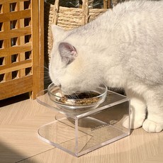 DING DONG PET 寵物玻璃碗餐具 小型, 1個, 透明