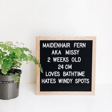 STOLIVING DIY留言黑板, 木頭