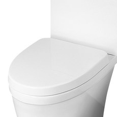 Mirinae 無噪音阻尼器減速 D 形馬桶蓋超大 ST-5000, 白色, 1組