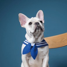 ZAZAZOO 萌少女戰士水手領巾 + 水手結 月亮款, 藍色, 1組