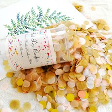 글로리빙 파티 꽃가루 컨페티폭죽 25g, 2개, 색상9