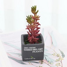 도시정원 미니 다육이 조화 소품, C형, 1개