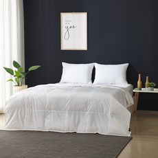 구스앤홈 호텔 폴란드 프리미엄 썸머 구스다운 이불 PG90 350g, 화이트