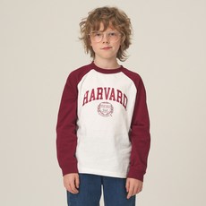 HARVARD KIDS 兒童哈佛徽章拉格蘭T恤 HJCCLSE34225
