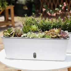 Dometopia 迷你花園自動給水花盆, 1個