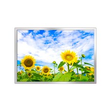 室內裝飾鋁製畫框 + 金錢花A海報組, 銀色