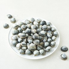 바다림 서해안 생물 동죽조개 (냉장), 1개, 1kg 1개, 1kg