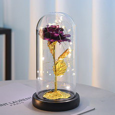 PEACH LED 玫瑰花氣氛燈 室內照明, 紫金色