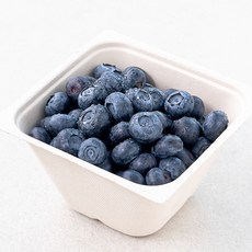 산지직송 아주마 유기농 인증 영동 블루베리, 250g, 1개