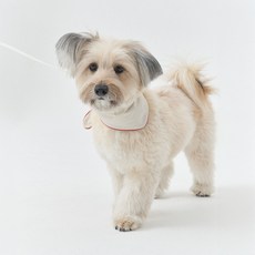 merlie 寵物 Twilly 絲巾項圈, 米色, 1個