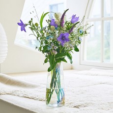 COCODOR 珂珂朵爾 Daymood 玻璃花瓶, 極光