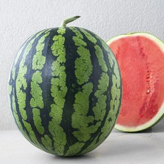 농협 당도선별 씨적은 수박, 10kg 미만, 1개