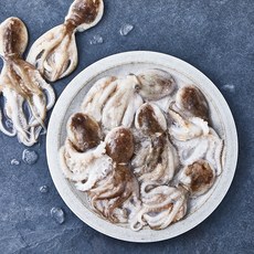 바다림 태안 봄제철 생물 쭈꾸미 (냉장), 1kg(8~16미), 1개