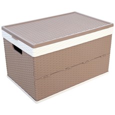 Hanui 普通藤條折疊折疊盒 60L, 奶茶, 1個