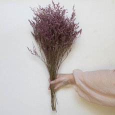 GAPANG 霧藍乾花DRYB104, 02號（粉色）