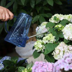 Lifesweet 塑膠材質花盆花卉澆水園藝簡約設計灑水器, 1個, 藍色