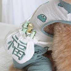 에이미러브즈펫 반려동물 DE 곰돌이 한복 복주머니 L, 민트, 1개