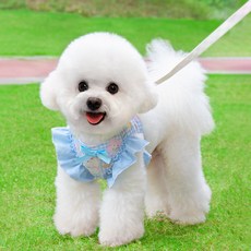 PASTEL PET 寵物Happy Puppy胸背帶牽繩, 1個, 藍色