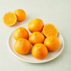 제이드가든 미래향 5~10개입, 1개, 1.5kg