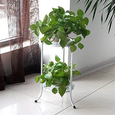 Enasu 橄欖室內陽台多肉植物花盆支架 TC001 60 厘米, 白色, 2段