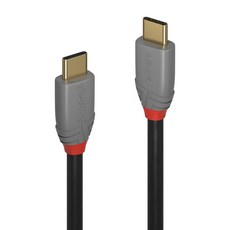LINDY 林帝 ANTHRA USB3.2 Gen 2 x 2 Type-C/公-公傳輸線 + PD智能電流晶片, 0.5m, 黑色, 1條
