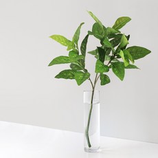 BLOOMING&ME 長莖黛粉葉人造花, 綠色, 1個