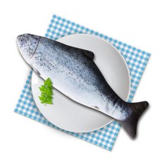 댕이와냥이 고양이 캣닢 마따따비 가득 애착 인형, 연어 S, 1개