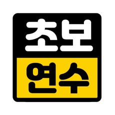 carmazon 新手駕駛反光磁鐵貼紙, 駕駛練習, 1個