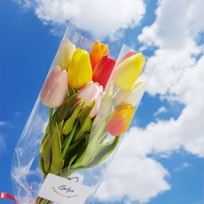 EPLYN 感性風人造鬱金香花束 10支組, 彩色, 1把