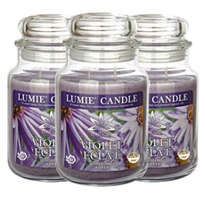 르미에 캔들, 570g, 3개, 바이올렛 에끌라