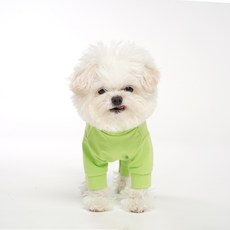 ANGEL MONSTERS 狗狗單層高領連身衣 OR009, 813 綠色, 1個