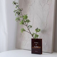 哈利 北歐書架裝飾透明室內花瓶, 紅色