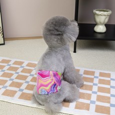 코코스튜디오 강아지 수컷용 코코 드리미 매너벨트 캔디 스월, 1개, 1개입, 특대형