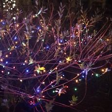 21C Trend 8種模式 USB款 裝飾 室內 燈串 小米 蜈蚣燈泡 1000燈 25m, 黑線 + 彩色, 1個