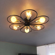 샛별하우스 로젤라 6등 직부, 혼합색상