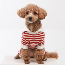 쁘띠도그 트리모올인원 DA025, 레드