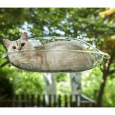 바디보 貓咪透明吊床, 1個, 透明