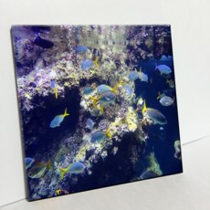 HTP 磁磚 海洋博物館水族館景象 C2789