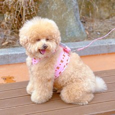 MAAH 狗狗背包款小熊格紋胸背帶 + 牽繩套組, 1套, 粉紅色