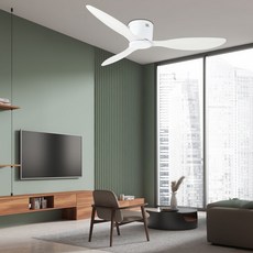 HOMEVIT 원하 IS 저소음 실링팬 리모컨 포함 1070mm, 화이트