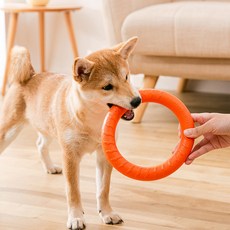 레드퍼피 강아지 플라잉링, 랜덤발송, 1개