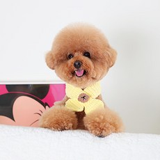 AMYLOVESPET 寵物 BL 貴賓犬圍巾 2XL, 黃色, 1個