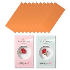 康乃馨愛心胸針 2入 + 訊息零用錢信封 10入 套組, 1套, 感謝(信封), 隨機出貨(胸針)