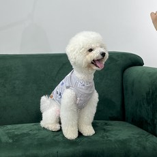 바크독 강아지 캐릭터 면 실내복, 야구선수바크 그레이, 1개