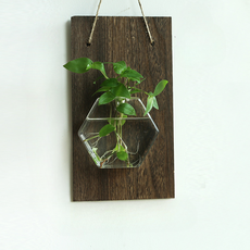 Roi 可愛感性迷你花盆組 木板 + 六角花瓶, 單一顏色