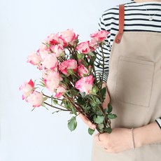 모리앤 미니장미 생화단 4대, 커브, 4개