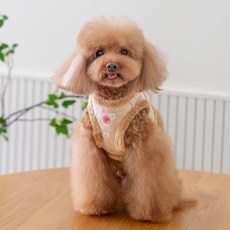 핑카홀릭 반려동물 꽃향기 기모 하네스 B형 HB7816, 베이지, 1개