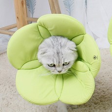 DING DONG PET 寵物魔鬼氈花朵頸圈, 綠色, 1個