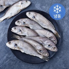 국내산 백조기 엮걸이 10미 (냉동), 1개, 1.4kg