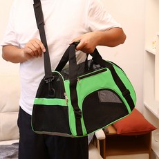 데이소이 반려동물 답답함 없는 이동가방, 05 그린, 1개